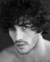 maor daniel